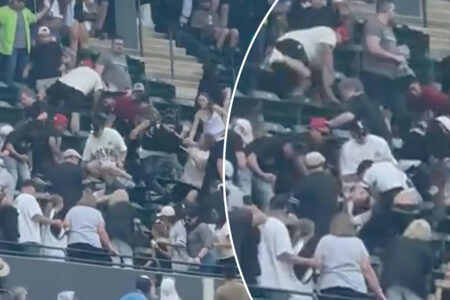 Fan leaps down two rows to stomp fellow spectator in wild brawl during Mets-White Sox game