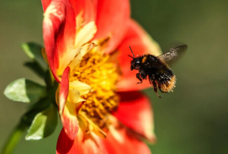 Friday Posted & Toasted Notes: King JB, Tacko Tuesday, GM KD