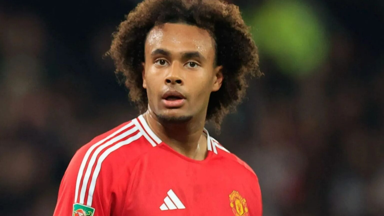 Joshua Zirkzee ‘would gladly go back to Italy’ after Man Utd struggles just months after transfer with Juventus keen