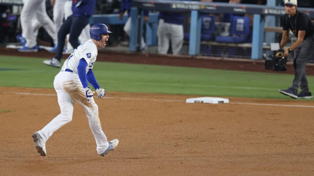 Freddie Freeman’s walk-off grand slam ball sells for .56 million at auction