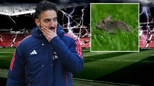 Old Trafford suffering from MICE infestation after inspection finds rodent droppings in food kiosks and plush suites