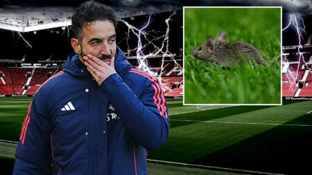 Old Trafford suffering from MICE infestation after inspection finds rodent droppings in food kiosks and plush suites