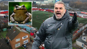 Ange Postecoglou opens up on playing on pitch covered in TOADS as Tottenham prepare to brave 3G Tamworth turf