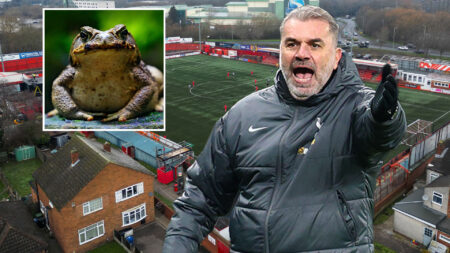 Ange Postecoglou opens up on playing on pitch covered in TOADS as Tottenham prepare to brave 3G Tamworth turf