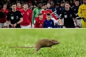 ‘When you cut the pest control service’ – Mouse spotted on Old Trafford pitch before Man Utd vs Ipswich