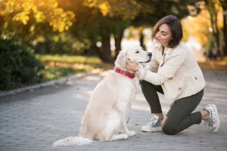 Which is Better for Dogs, CBD Oil or Hemp oil?