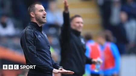 Hull City: Have your say on the departure of boss Ruben Selles