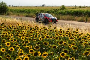 Tanak builds lead as Fourmaux hits trouble