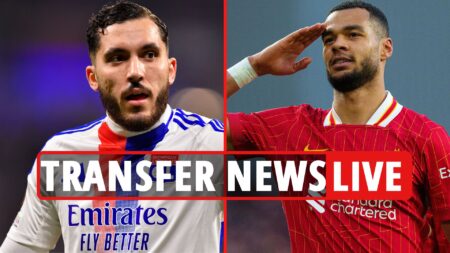 Transfer news LIVE: Gakpo ‘eyed by Bayern’, Rodrygo makes U-TURN, Cherki ‘wants City move’, Chelsea close in on Delap