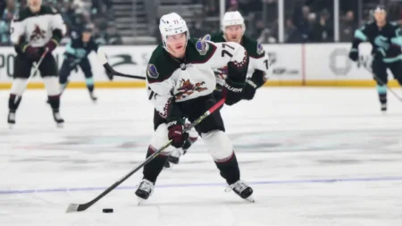 Bruins trade for Swedish star, then sign him to new contract to come to NHL