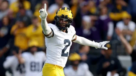 Cardinals’ .4 million rookie could make a ‘serious impact’ if he rewrites injury history