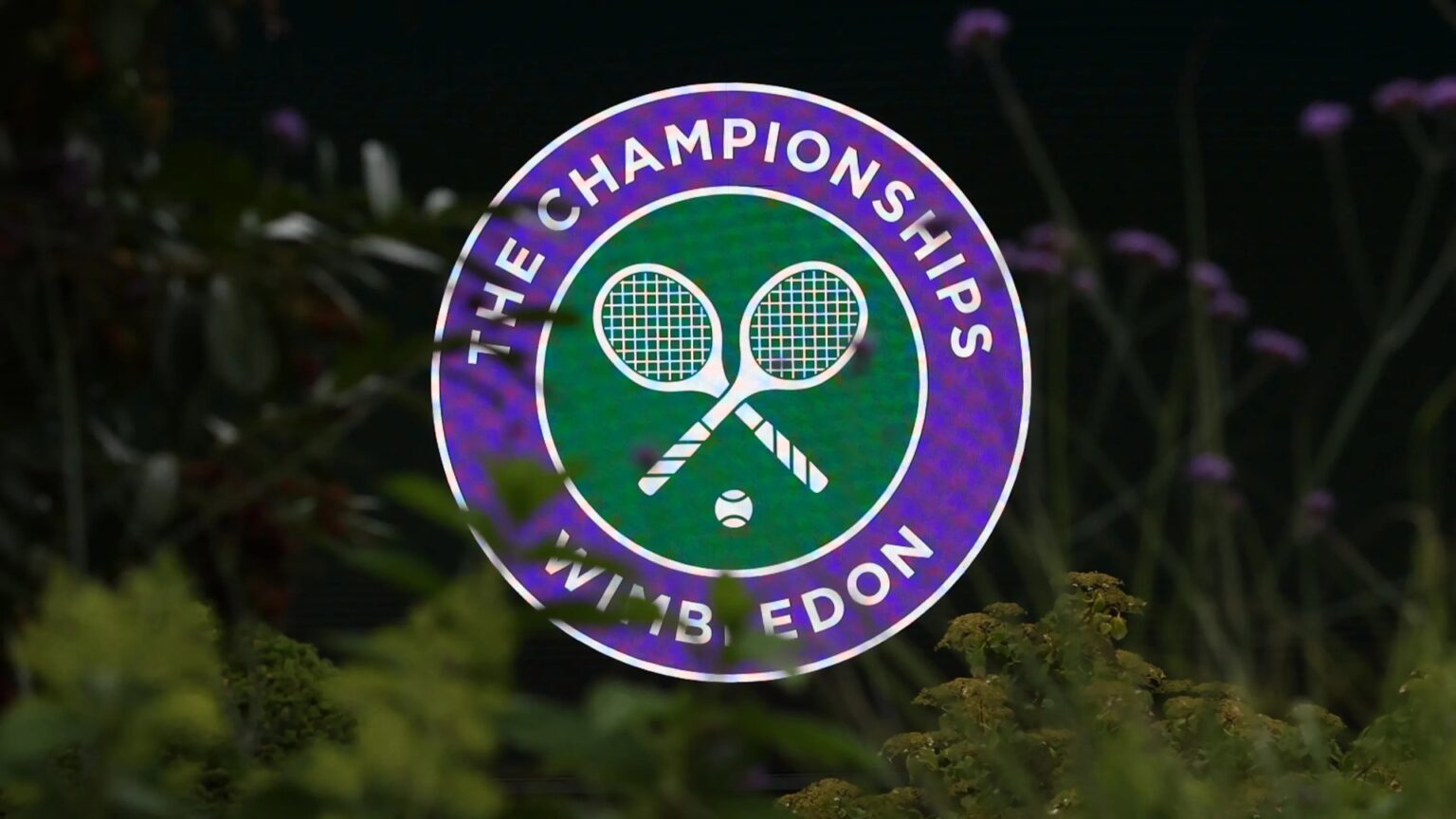 BBC make major change to Wimbledon coverage that risks upsetting tennis fans