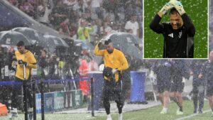 Germany vs Portugal Nations League clash DELAYED as players are forced to protect themselves from hailstones