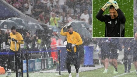 Germany vs Portugal Nations League clash DELAYED as players are forced to protect themselves from hailstones