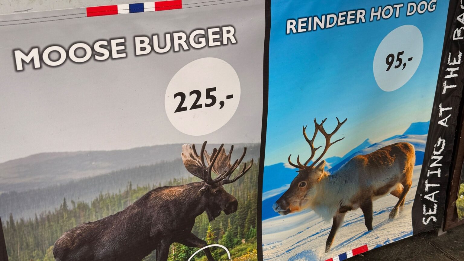 Moose burgers, reindeer hot dogs and home of a Chelsea icon – is this the most underrated footie destination in Europe?