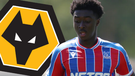 Wolves line up £10m Crystal Palace kid with just eight Eagles appearances to replace Cunha after Man Utd transfer