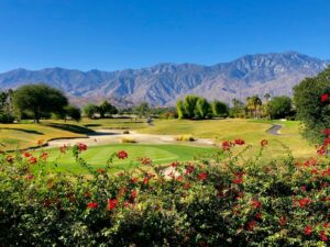 The Ryder Cup: Inexperience, Odds, and Data