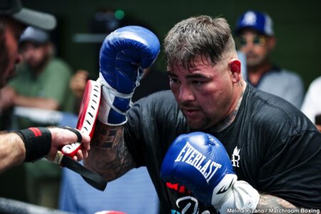 The Return of ‘The Destroyer’: Andy Ruiz’s New Look and Ferocious Training Spark Hope for a Comeback