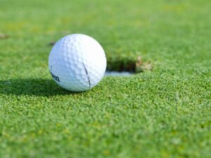 Cameron Young Wins First PGA Tour TItle at Wyndham