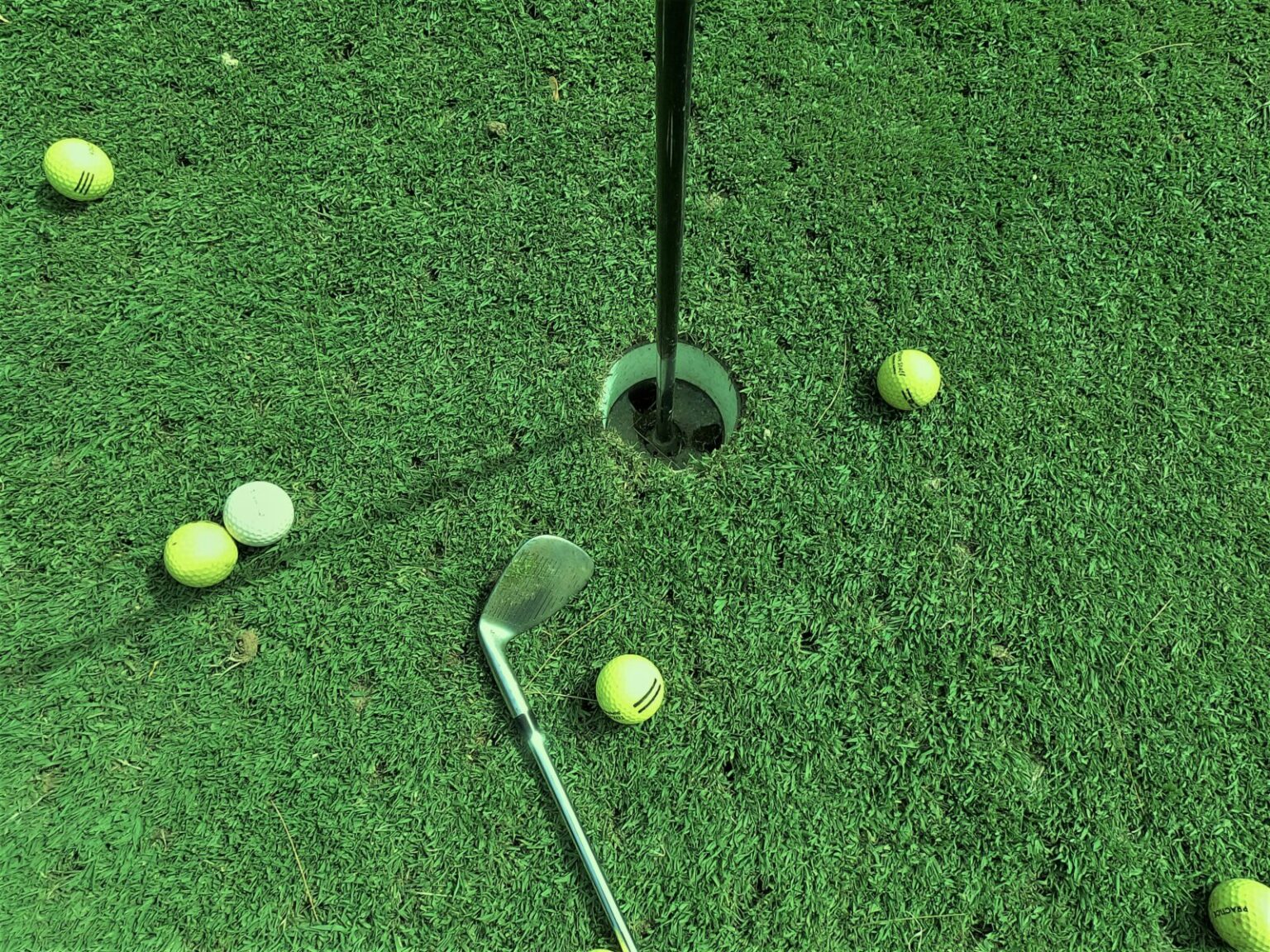 From Greens to Screens: Betting on Golf in the Age of Real-Time Data