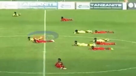 Football match suspended as swarm of bees wreak havoc with terrified players forced to lie flat on ground
