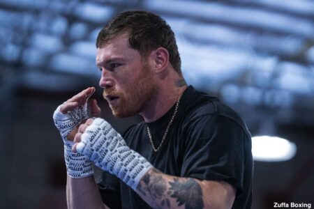Canelo’s Business Imperative: Joel Diaz Argues a Loss to Crawford is Simply Unthinkable for Boxing’s Future