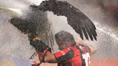 Moment Nice’s eagle is blasted by pitch sprinkler while getting a treat before Europa League clash