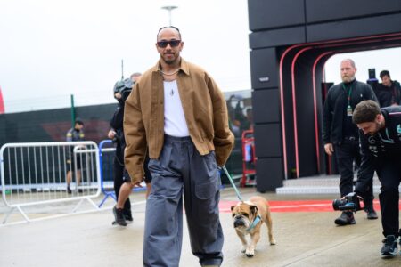 Hamilton shares Roscoe health update; misses Pirelli F1 test as Zhou steps in