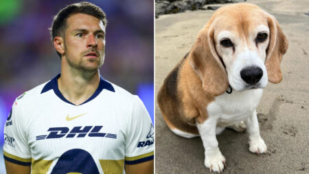 Aaron Ramsey shares desperate appeal to find his beloved missing dog as Arsenal legend, 34, offers reward