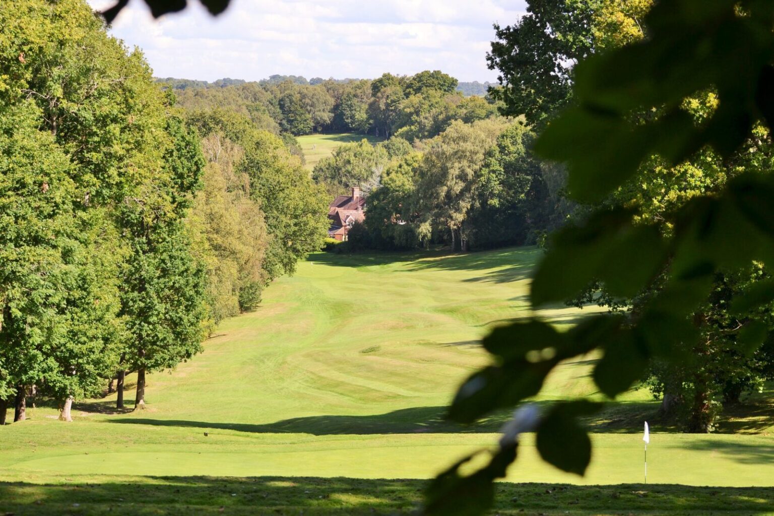 PlayMoreGolf Launches Risk-Free Black Friday Offer for Golf Clubs