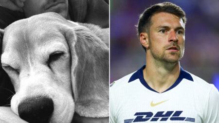Aaron Ramsey shares heartbreaking update with lost dog Halo after offering huge reward to find missing pooch in Mexico