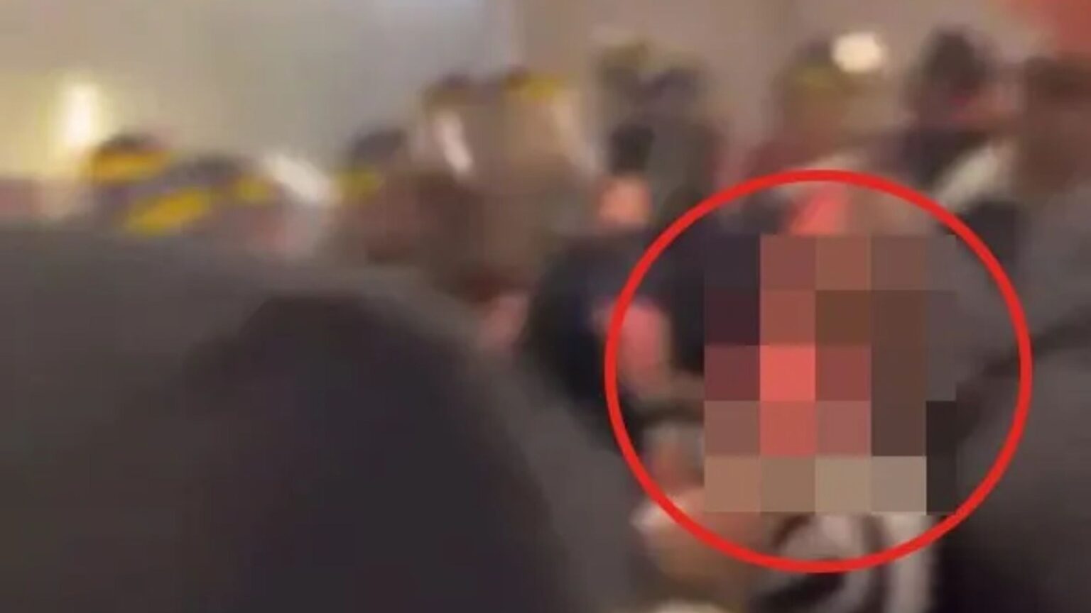 French cops hunt Newcastle fan seen in lurid vid of toilet sex act at Marseille stadium before rucking with riot police French cops hunt Newcastle fan seen in lurid vid of toilet sex act at Marseille stadium before rucking with riot police
