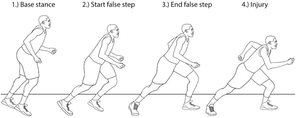 (Journal of Applied Biomechanics)