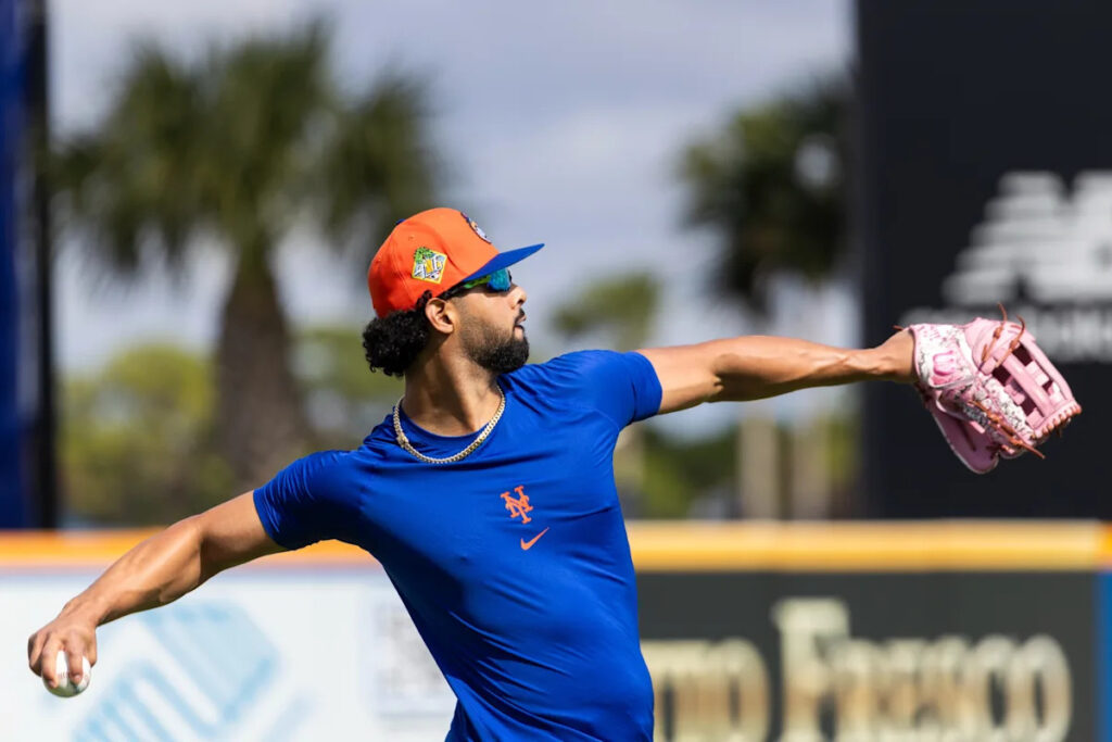 MJ Melendez ‘comfortable’ with outfield versatility after winter ball work in boost to Mets’ depth MJ Melendez ‘comfortable’ with outfield versatility after winter ball work in boost to Mets’ depth