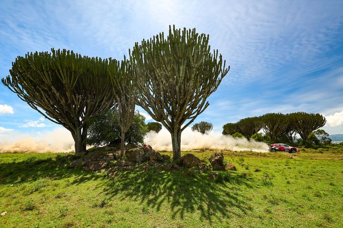 Oliver Solberg, Elliott Edmondson, Toyota Gazoo Racing WRT Toyota GR Yaris Rally1