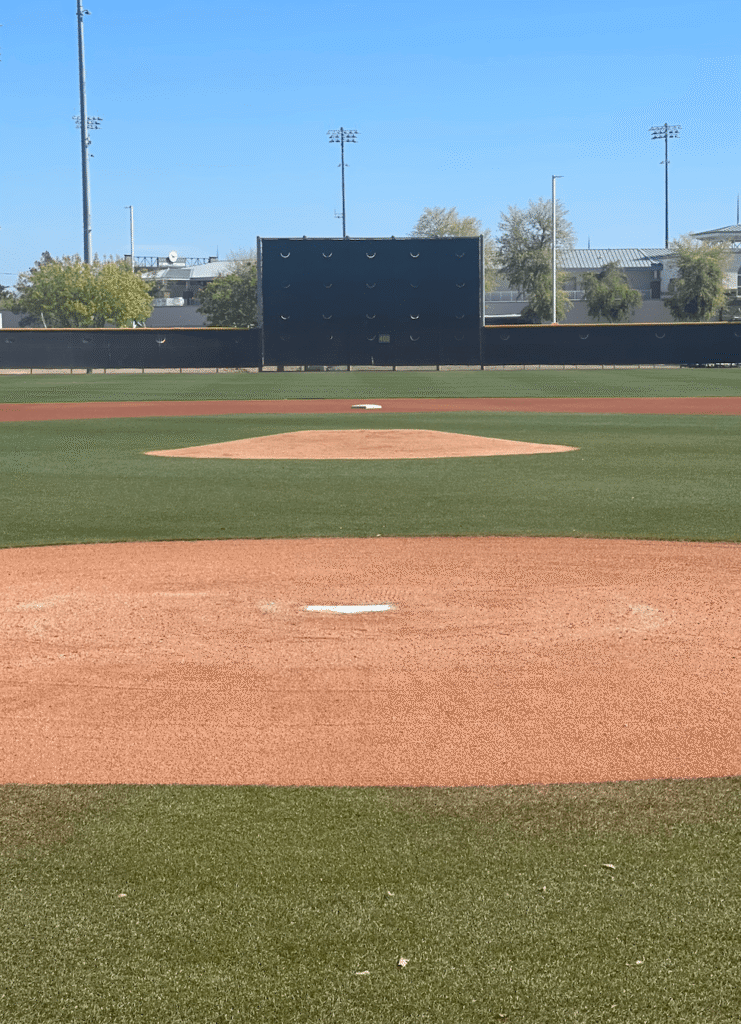 Raising Arizona 2026 V. 1 Raising Arizona 2026 V. 1