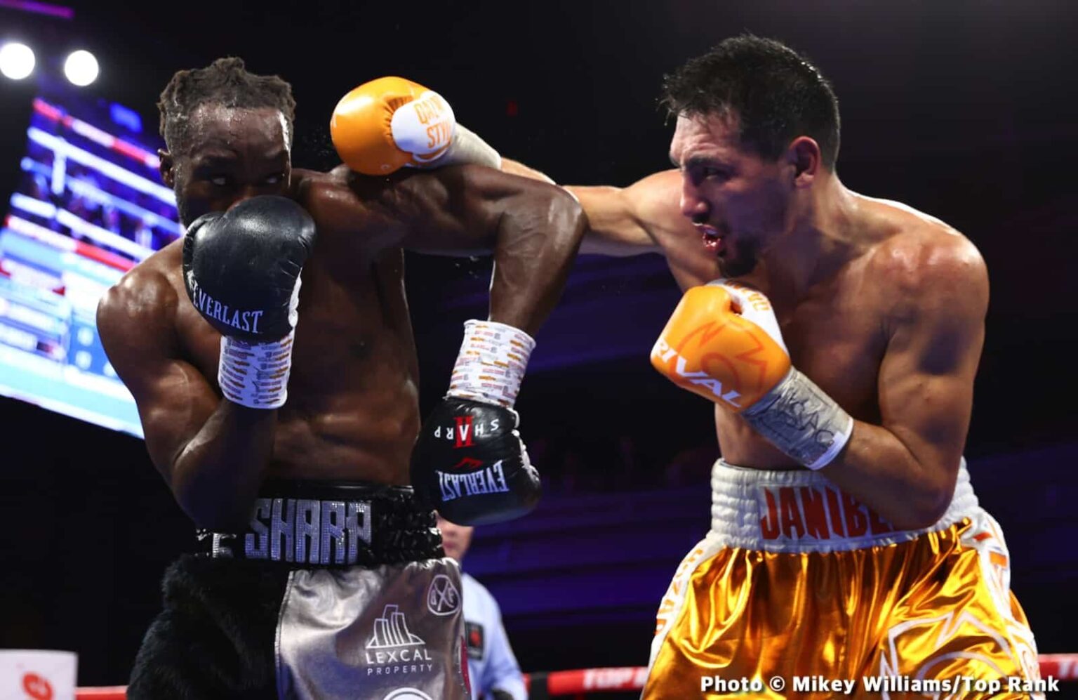 Janibek reduced to one title after IBF ruling Janibek reduced to one title after IBF ruling