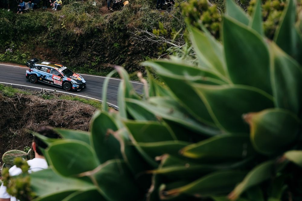 Thierry Neuville, Martijn Wydaeghe, Hyundai Shell Mobis World Rally Team Hyundai i20 N Rally1