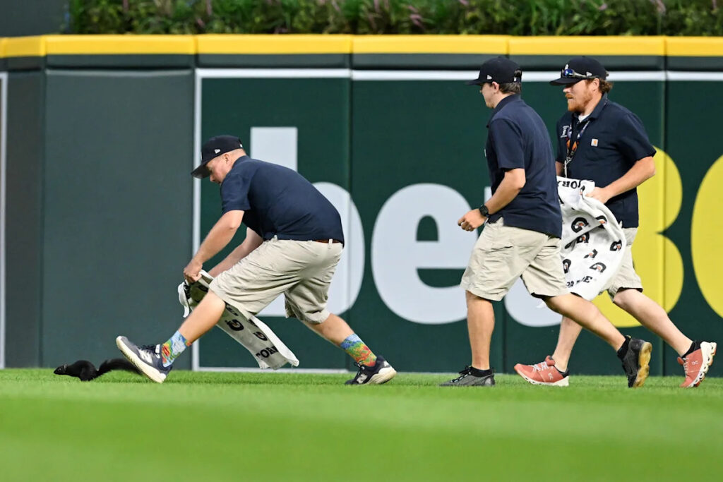 Squirrel breaks onto field during Tigers-Orioles game, sparking wild chase in the outfield with Jason Benetti on the call