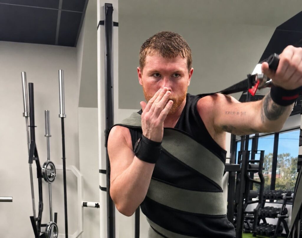 Canelo Alvarez’s Output Weakens Edwards’ Toney vs. Jirov Comparison Canelo Alvarez’s Output Weakens Edwards’ Toney vs. Jirov Comparison