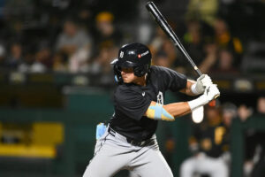 Tigers top prospect SS Bryce Rainer headed to the Arizona Fall League Tigers top prospect SS Bryce Rainer headed to the Arizona Fall League